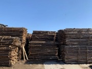 Modrzew tarcica sprzedam