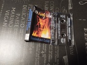 Running Wild Branded and Exiled