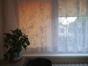 Firana klasyczna żakard 350 cm x 150