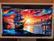 Monitor Nec MultiSync EA244WMi 1920/1200