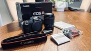Canon EOS R Canon RF 24-105 STM 