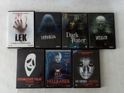 Hellraiser, Grudge, Dark Water, Straszny film 2 i 3, Lęk, Infekcja, Wizje 