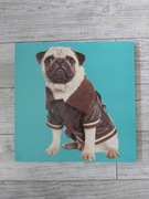 Obraz na ścianę Mops