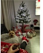 Diamentowa Choinka. Produkt limitowany 180cm