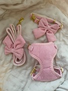 Zestaw dla psa szelki, smycz i obroża rozmiar S