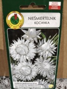 Nieśmiertelnik Kocanka biały 