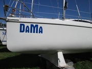czarter viva 700, mariner 24 WJM