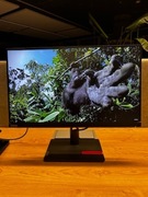 Monitor Lenovo ThinkVision P24h-30 na gwaracji [23.8", QHD, HUB, USB C]