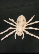 Szkielet pająka dekoracja na Halloween 24x12 cm plastikowe pająk