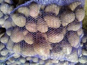 Ziemniaki Baltic Rosa 