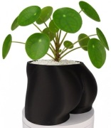 Doniczka Ozdobna Pupa Czarna śmieszny oryginalny prezent gadżet 15cm wysoka