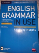 English Grammar in Use Book with Answers Raymond Murphy
