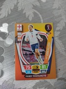 Karta Qatar 2022 nr 304