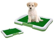 kuweta mata dla psa z trawą