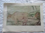 PLAKAT KOREA PÓŁNOCNA DPRK KRLD SZTUKA LUDOWA