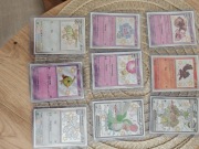 Zestaw 9 oryginalnych kart pokemon shiny