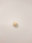 Zawieszka sea glass morskie szkło do naszyjnika biżuteria morska z muszelką