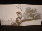 k.d. lang - hymns of the 49th parallel - CD [RARE]