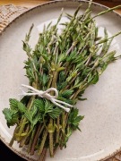 Pędy chmielu, dzikie mini szparagi 100g