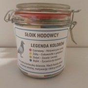 Kartka w słoiku Gołębie, Gołębi, Loty, Pierzenie, 