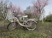 Sprzedam rower dziecięcy