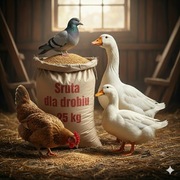 Śruta dla drobiu, pasza, karma dla kur, kaczek, gołębi, gęsi.