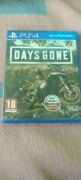 Gra PS4 Days Gone 