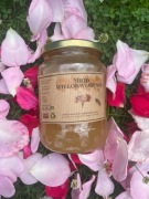 Miód Wielokwiatowy 1 kg Naturalny – Miód z Pasieki Doliny Noteci