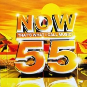 Now That's What I Call Music! 55  2cd (4)