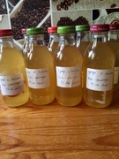 Syrop z kwiatów bzu czarnego, 300ml