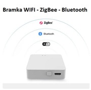 Bramka Multimode ZigBee TUYA WIFI Bluetooth BLE HUB Gateway 