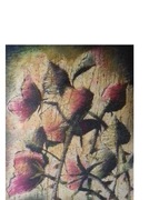 Róże  Tornada       Tornadowe