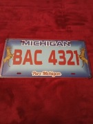 Replika kopia tablica rejestracyjna Michigan 30x15 cm