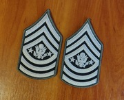 Naszywka - US Army - Sergeant Major Of The Army E-9 (Green/White) - para