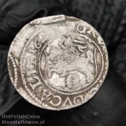 grosz 1625, Wilno krzyżyki na rewersie