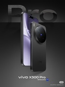 Vivo x300 pro 16 GB /512 GB Black/ CN