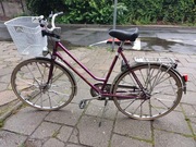 Rower damski Steiger Luxus