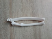 Prawa kość łokciowa kostek szkielet ciało człowieka National Geographic