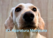 Gastroskop weterynaryjny HD 