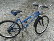 Rower Wheeler damski