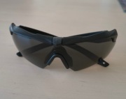 Okulary batalistyczne ESS Crossbow