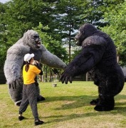 goryla kostium stroj 260cm king kong