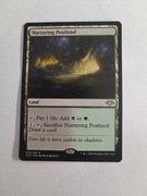 Nurturing Peatland Modern Horizons