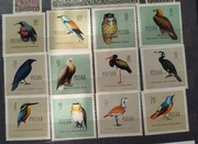 Fi (1062-1073)**  Ptaki chronione w Polsce  1960 