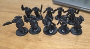 Black Templars Primaris Crusaders