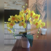 Storczyk z foamiranu