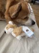 Corgi Betty charm Jellycat