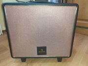 głośnik auna streetstar 50 bluetooth akumulator 