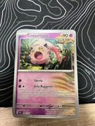 Karta Pokemon Caudarlante Widoczna na zdjęciu język Włoski