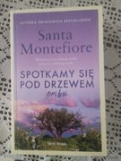Santa Montefiore Spotkamy się pod drzewem 